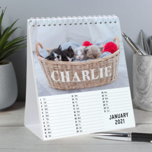 Cats and Kittens Desk Calendar