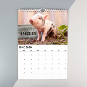 A4 Cute Animals Calendar