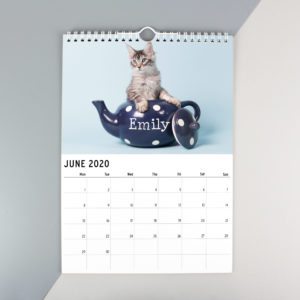 A4 Cats & Kittens Calendar