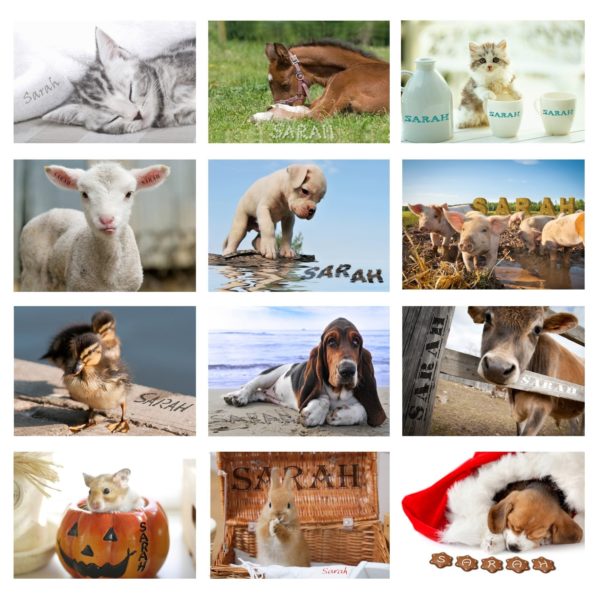 Cute Animals Desk Calendar