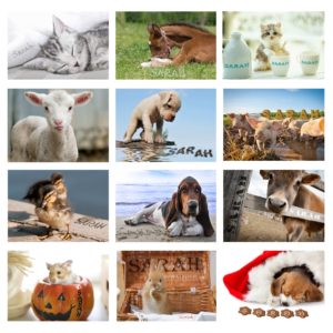 Cute Animals A4 Wall Calendar