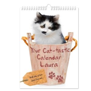 Your Cat-tastic A4 Wall Calendar