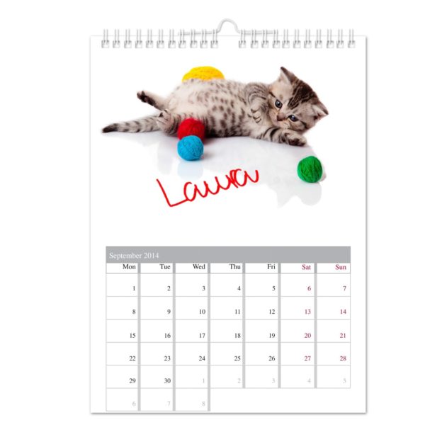 Your Cat-tastic A4 Wall Calendar
