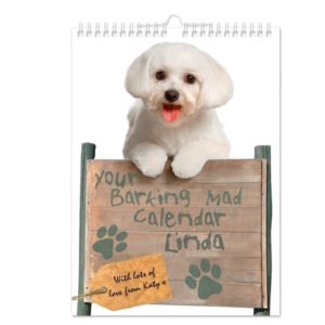Your Barking Mad A4 Wall Calendar