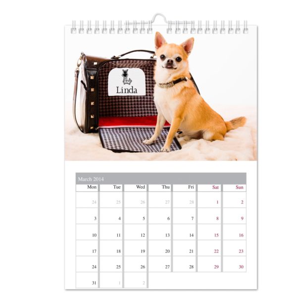Your Barking Mad A4 Wall Calendar