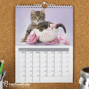 Rachael Hale A4 Cats Calendar