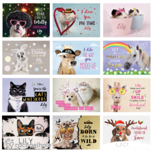 Rachael Hale Fun Animals A4 Wall Calendar